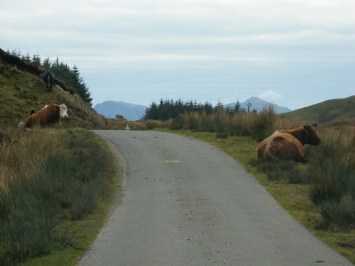 the "narrow, twisting lane"